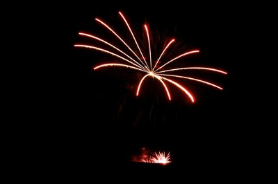 Fire spider_4591864621_l.jpg